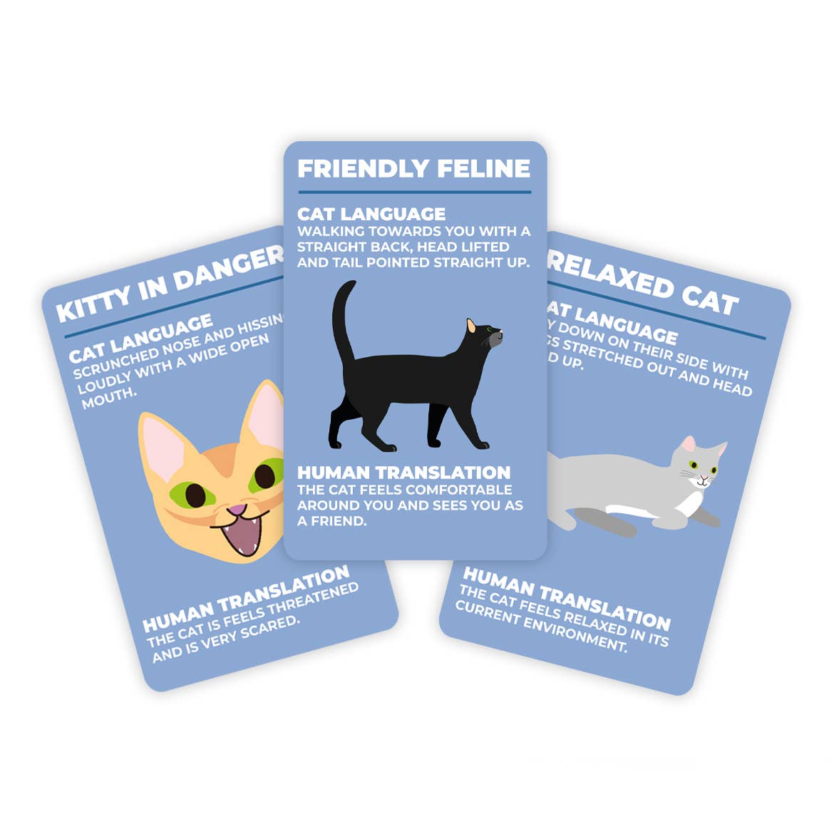 How To Speak Cat Flash Cards