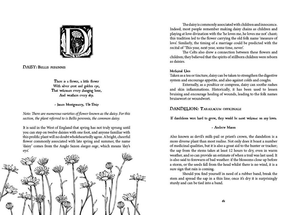 Folk Magic & Healing: An Unusual History of Everyday Plants by Fez Inkwright