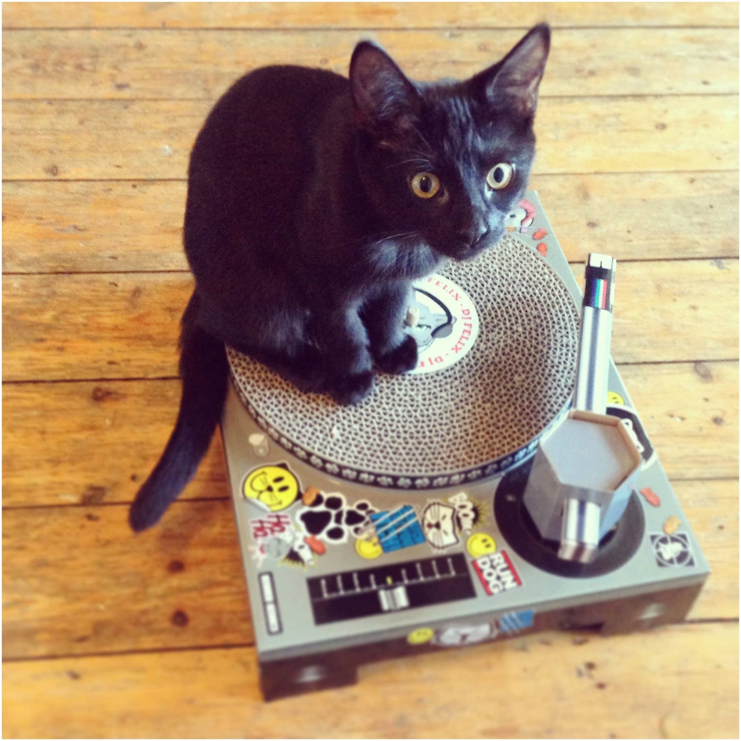 SUCK UK Cat Scratch DJ Decks