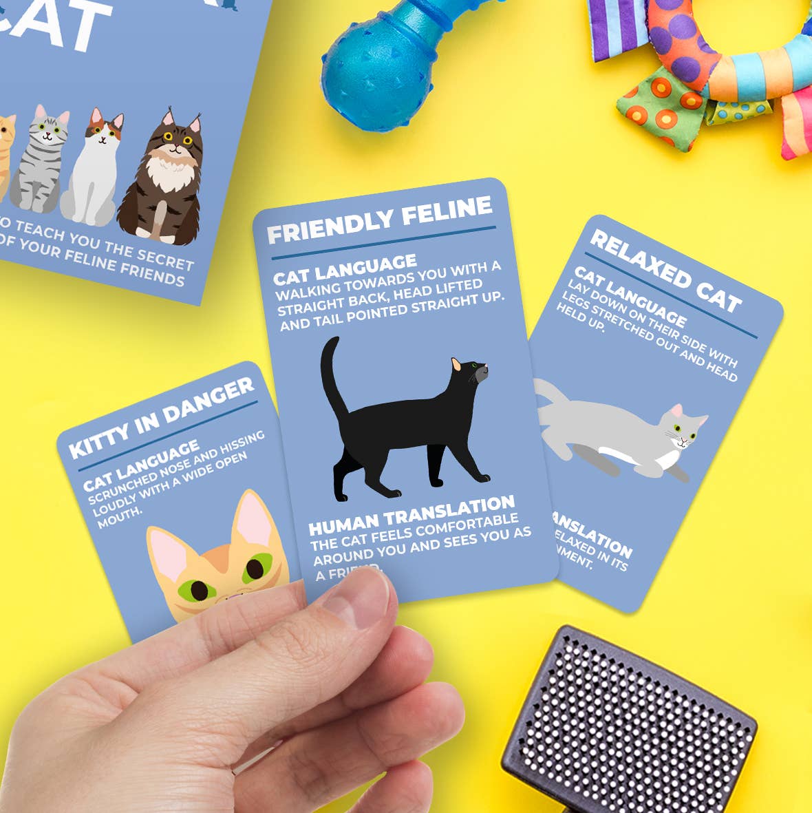 How To Speak Cat Flash Cards