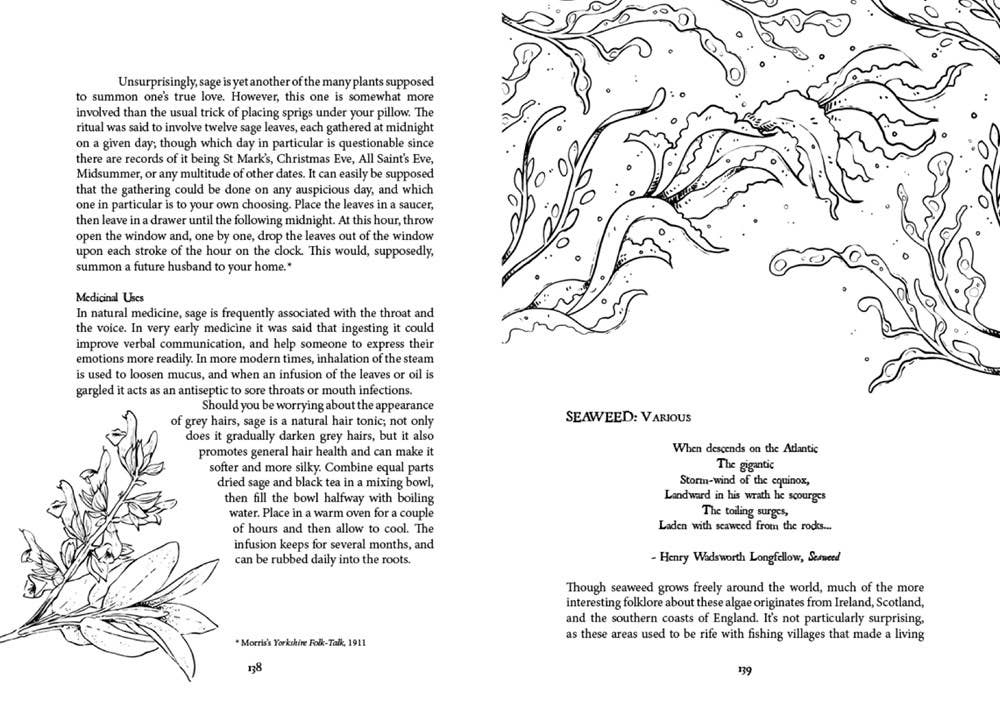 Folk Magic & Healing: An Unusual History of Everyday Plants by Fez Inkwright