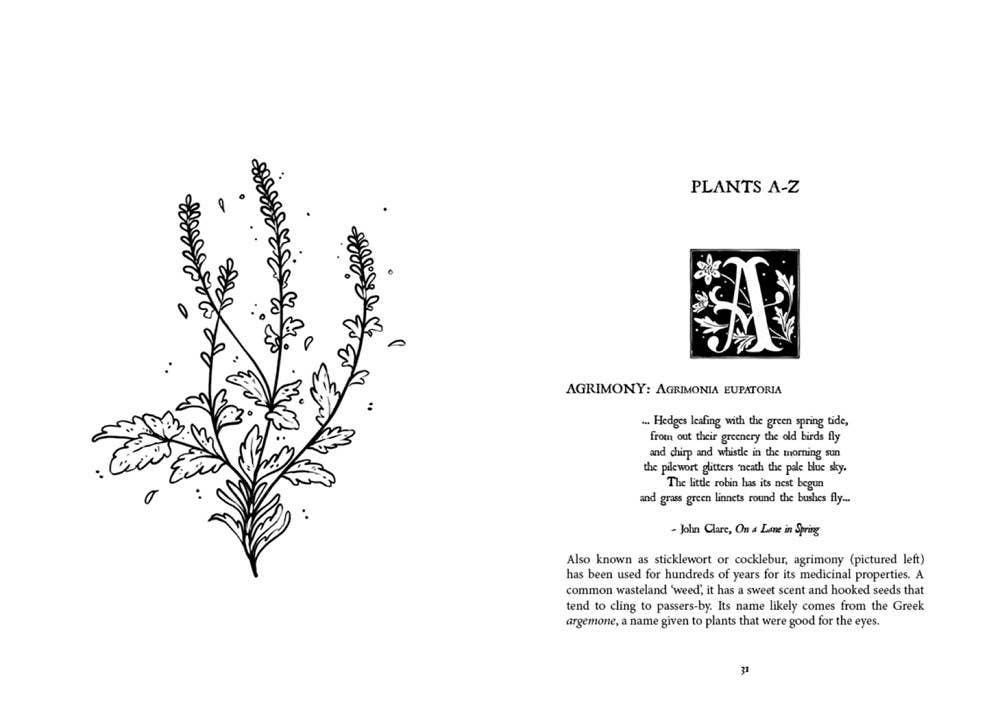 Folk Magic & Healing: An Unusual History of Everyday Plants by Fez Inkwright