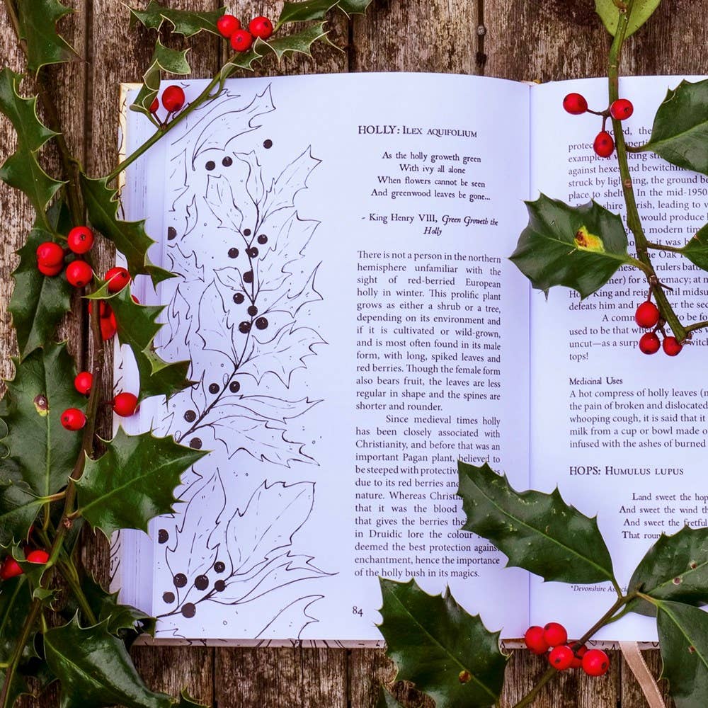 Folk Magic & Healing: An Unusual History of Everyday Plants by Fez Inkwright