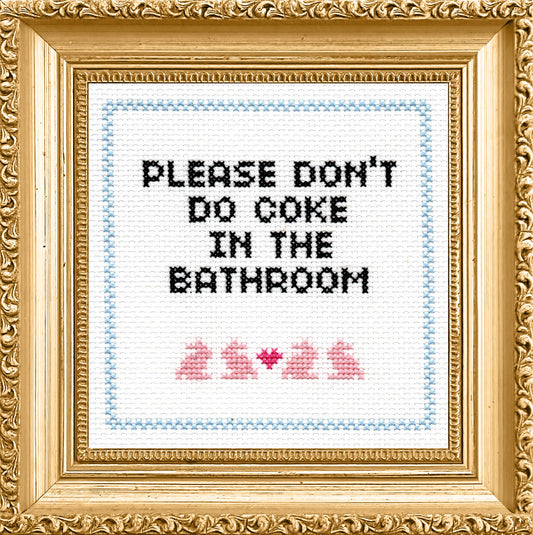 Subversive Cross Stitch Kit: Please Don't Do Coke In The Bathroom