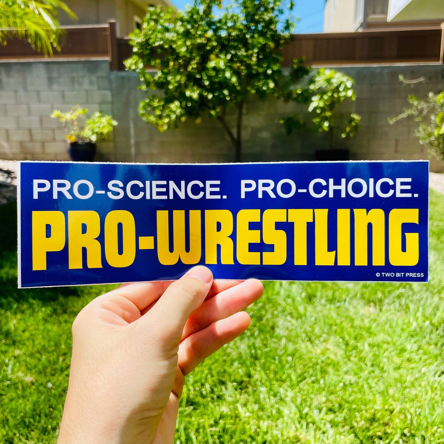 Pro-Choice Pro-Wrestling Bumper Sticker