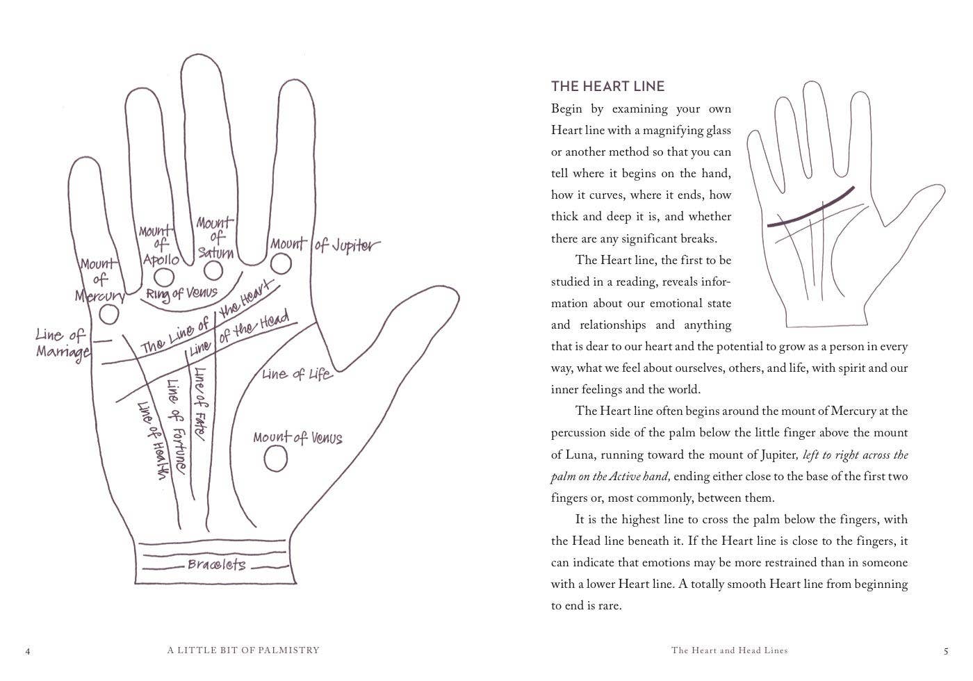 A Little Bit of Palmistry by Cassandra Eason