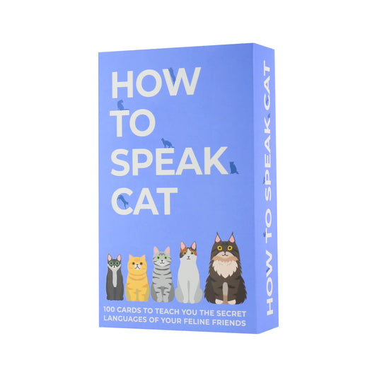 How To Speak Cat Flash Cards