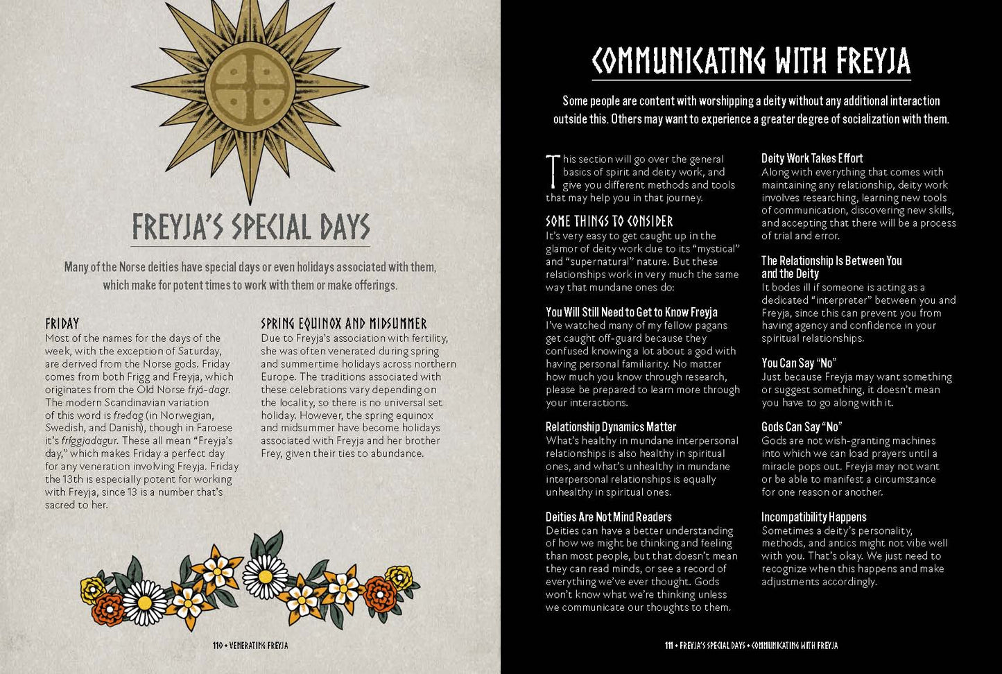 Freyja: An Illustrated Guide to the Goddess of Magic, Love & War