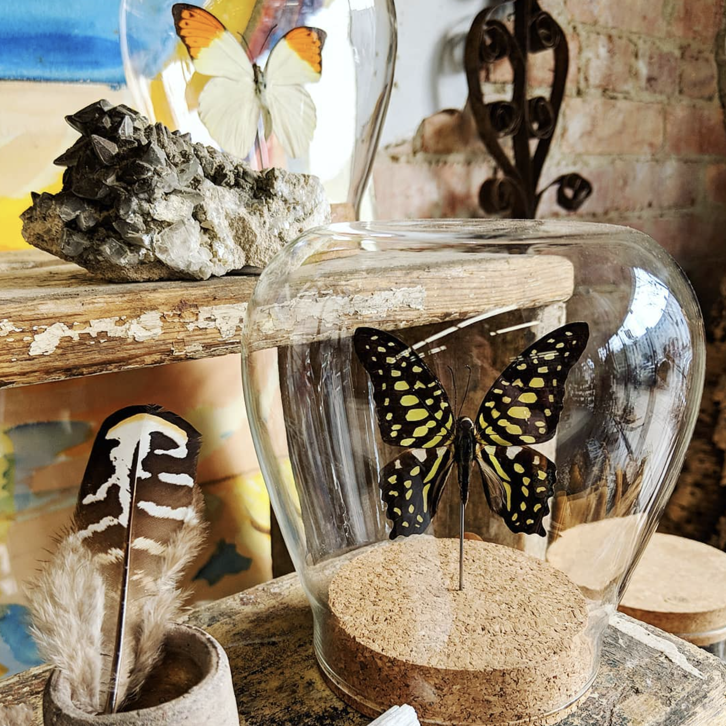 Luna Moth Globe