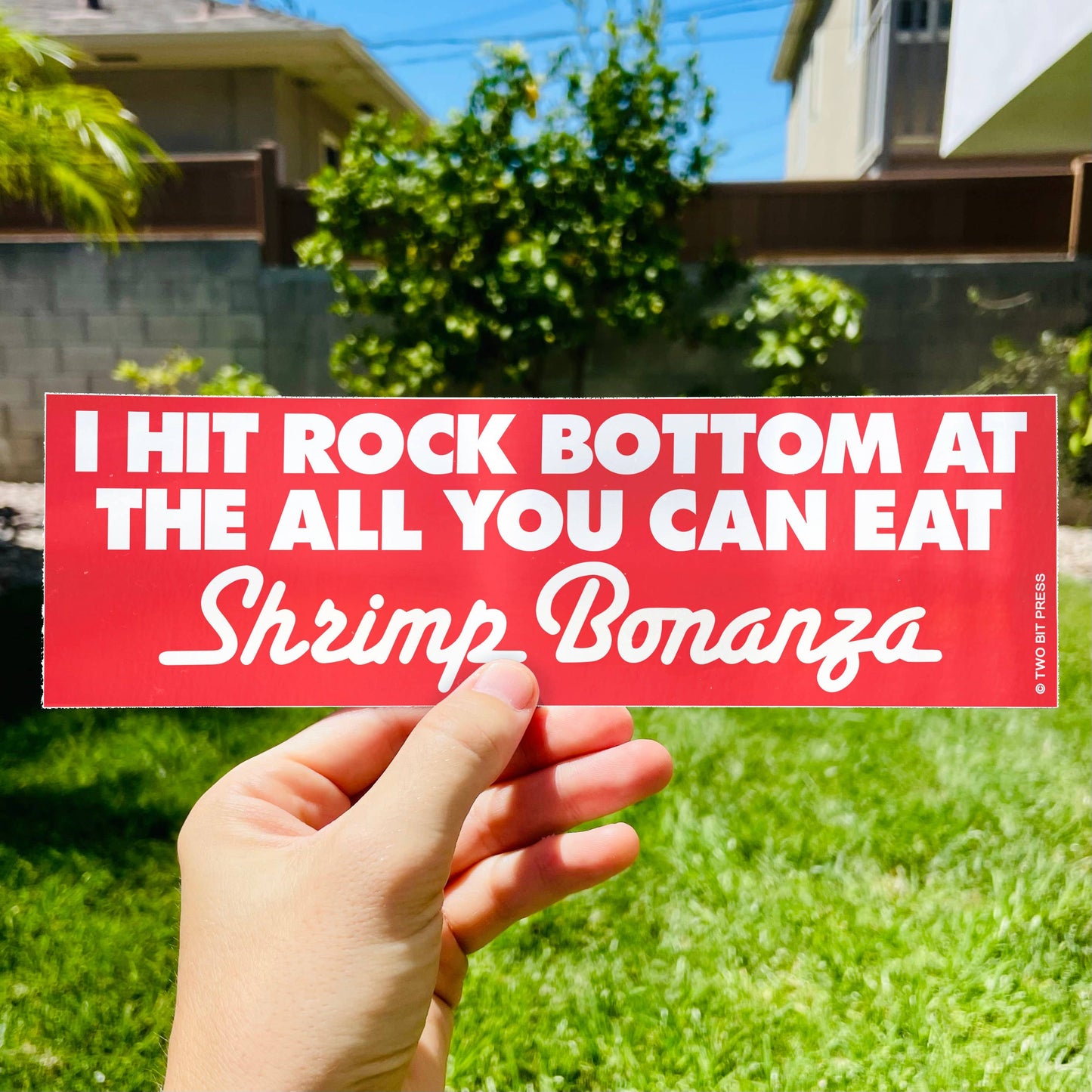 All You Can Eat SHRIMP BUFFET Bumper Sticker