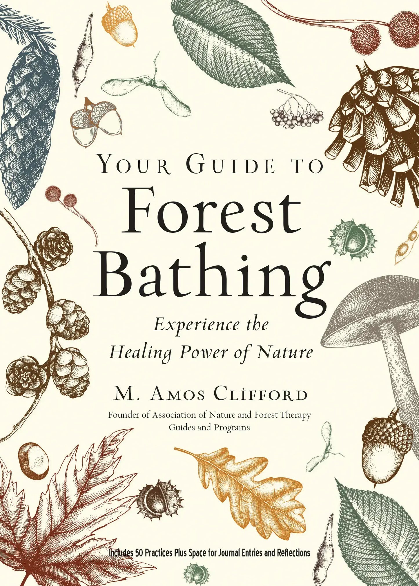 Your Guide to Forest Bathing by M. Amos Clifford