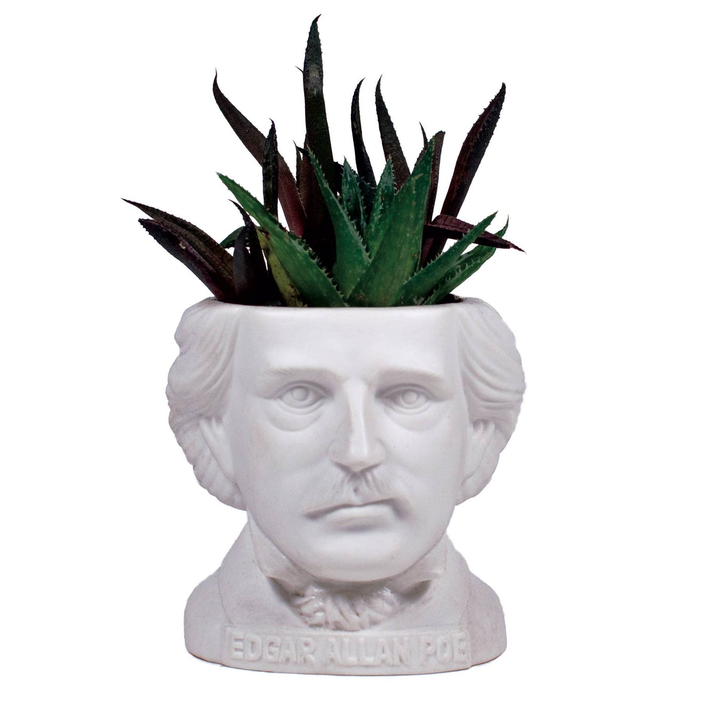 Edgar Allan Poe Planter